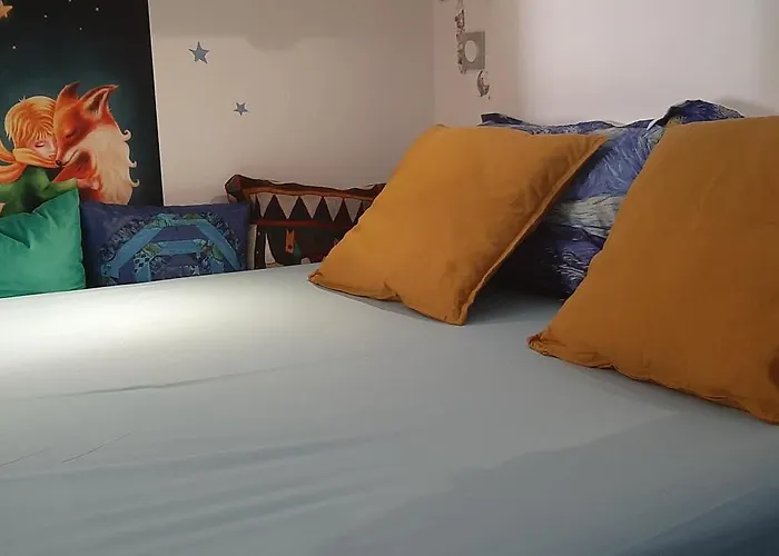 Emile Jardin Des Plantes -metro -tramway טולוז