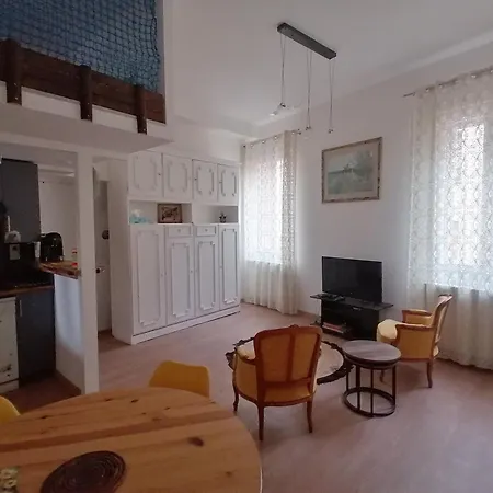 Apartamento Emile Jardin Des Plantes -metro -tramway Toulouse