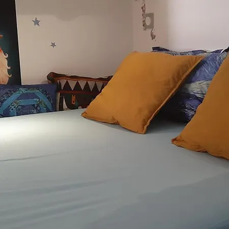 Emile Jardin Des Plantes -metro -tramway Toulouse